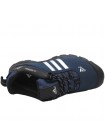 Кроссовки Adidas Terrex Climaproof Low Dark Blue